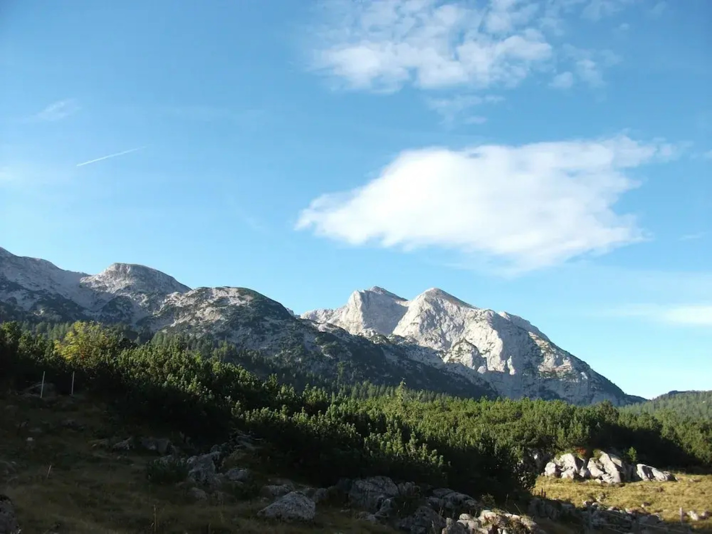 Ferienwohnungen Gästehaus Lärcheck