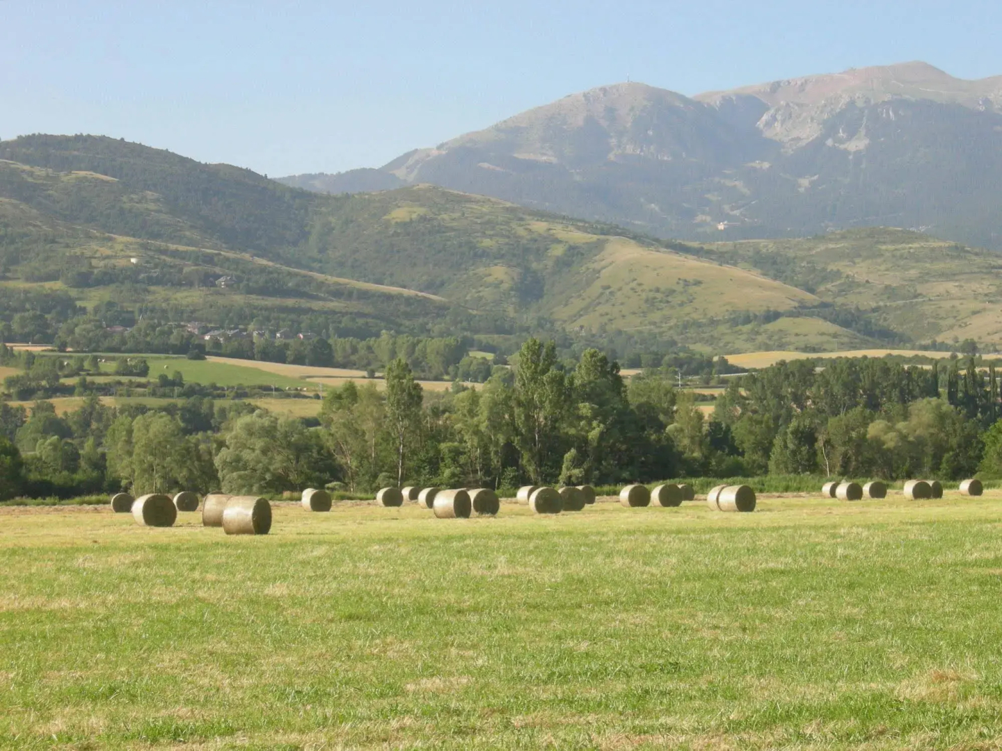 Mas d'Aravó