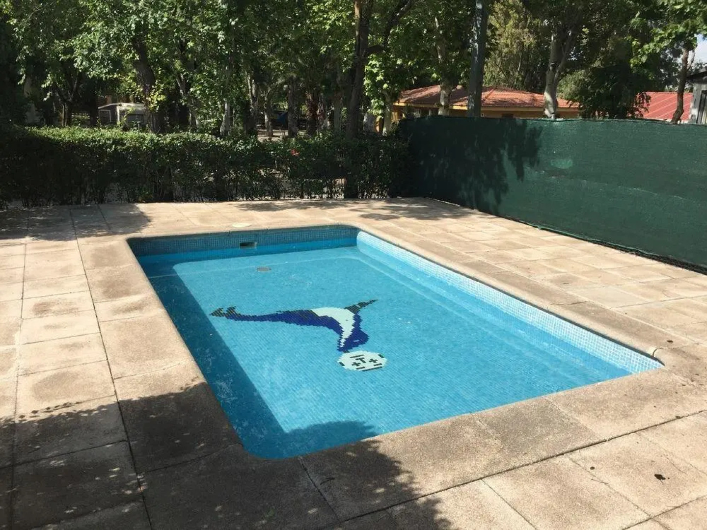 Bungalows Camping Alpha Madrid