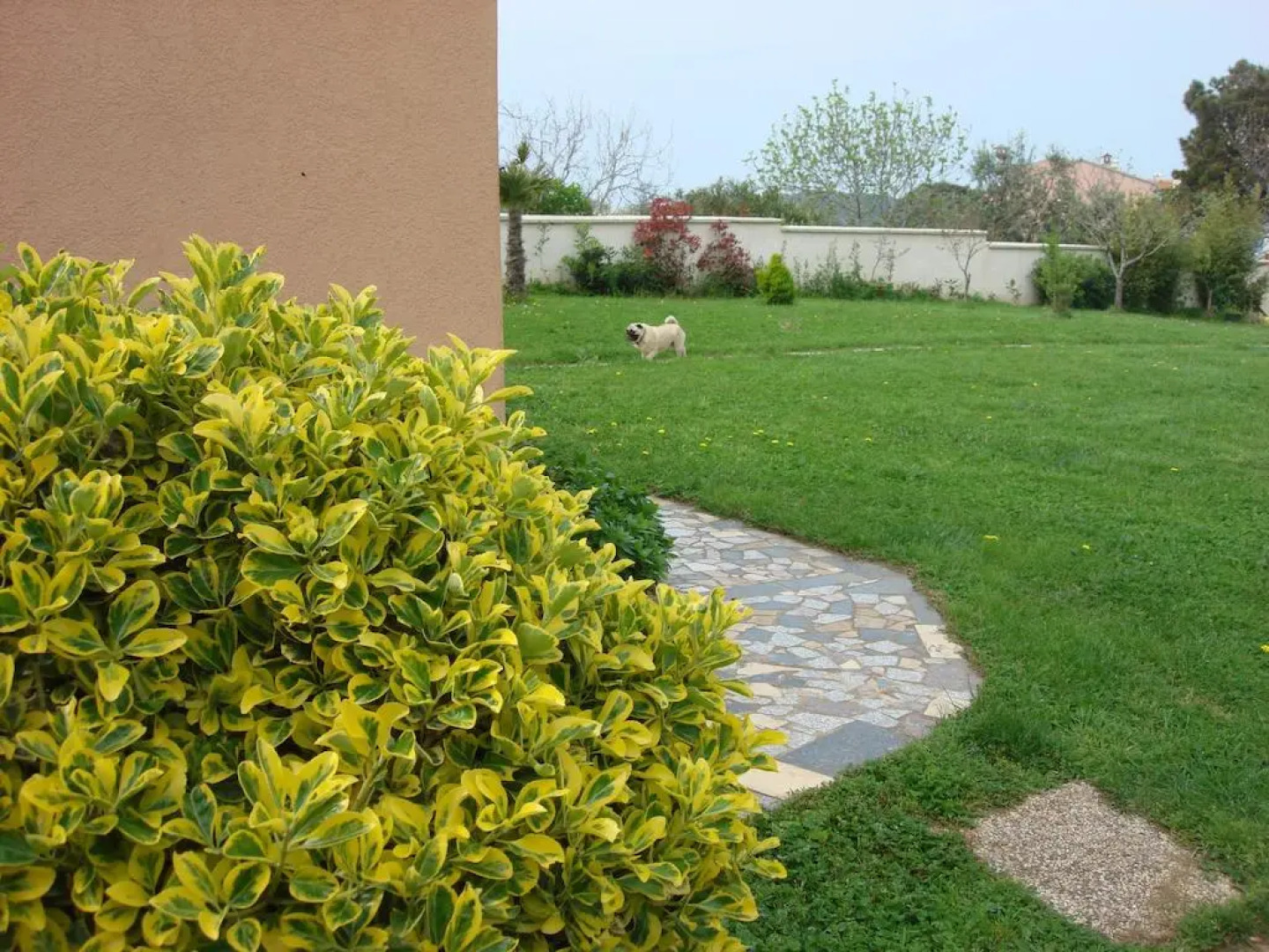 Apartments Nika Volme