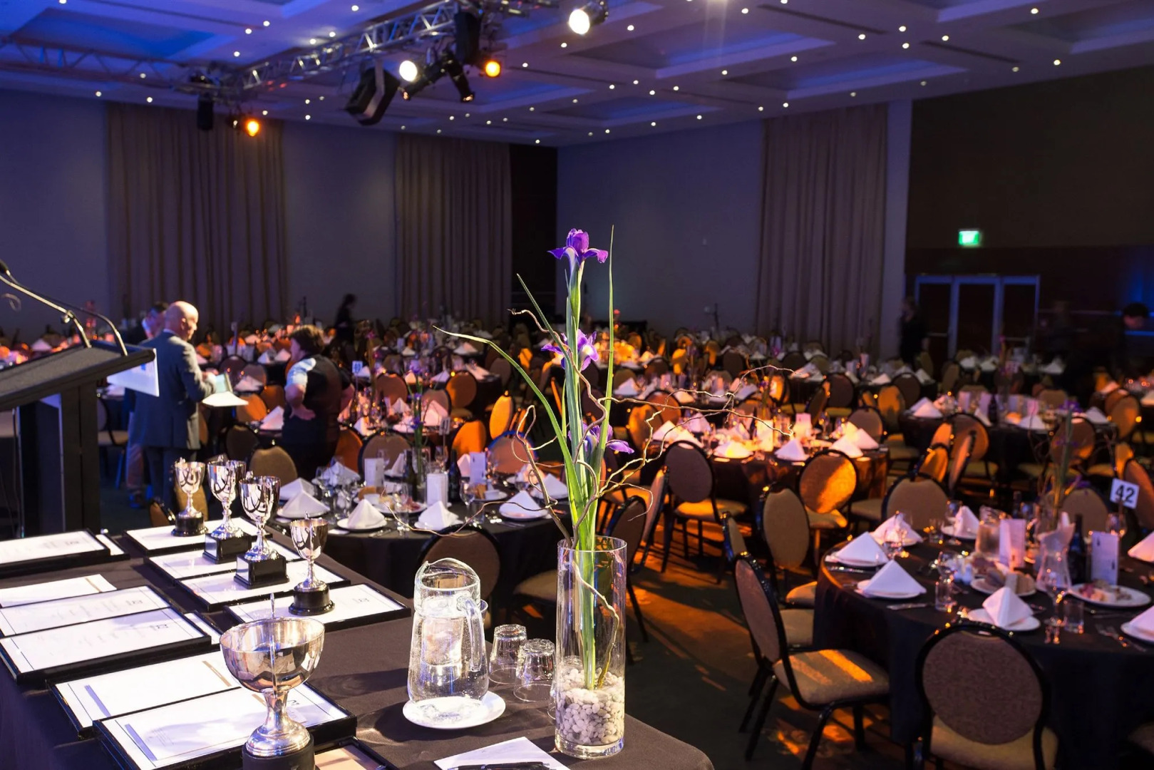 Rutherford Hotel Nelson