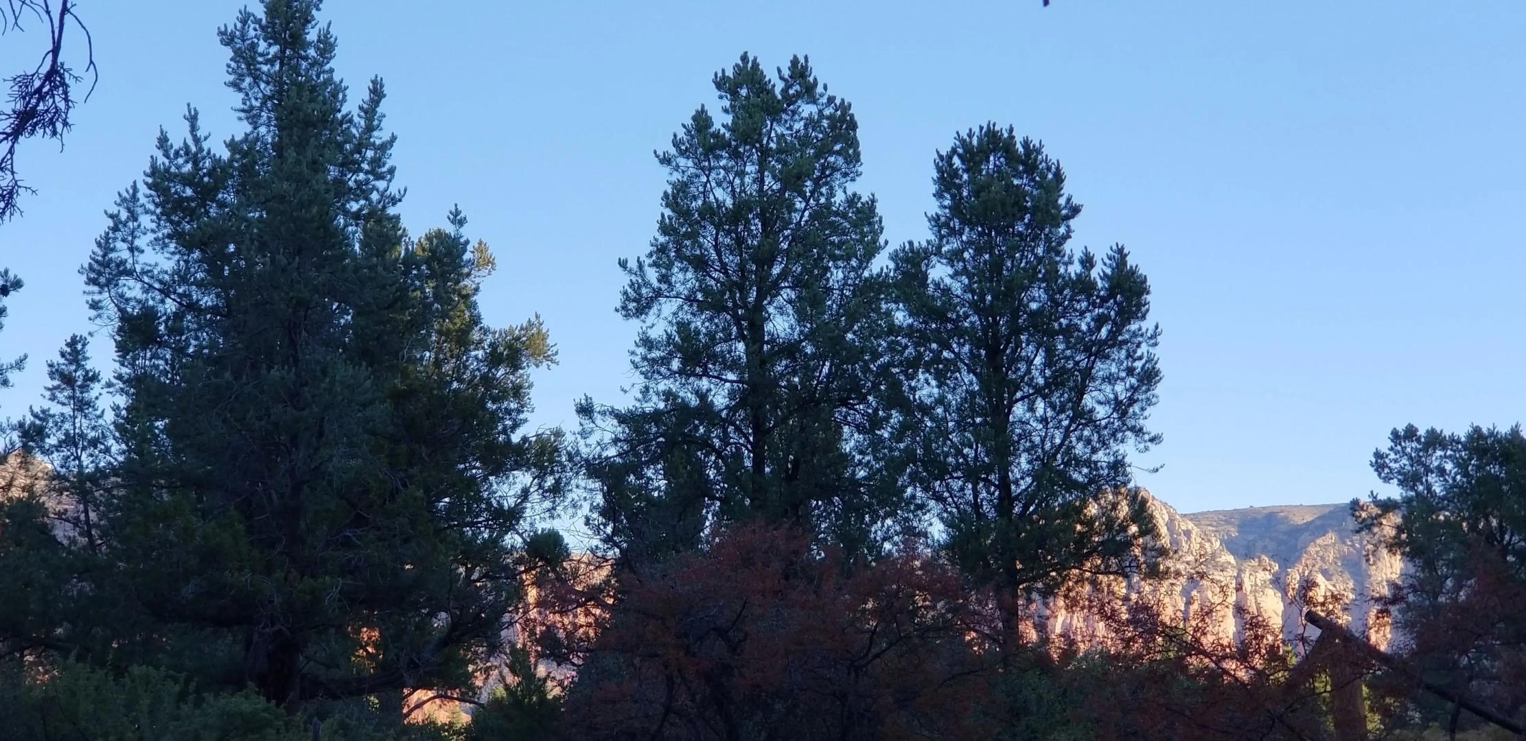 The Sedona Dream Maker B&B