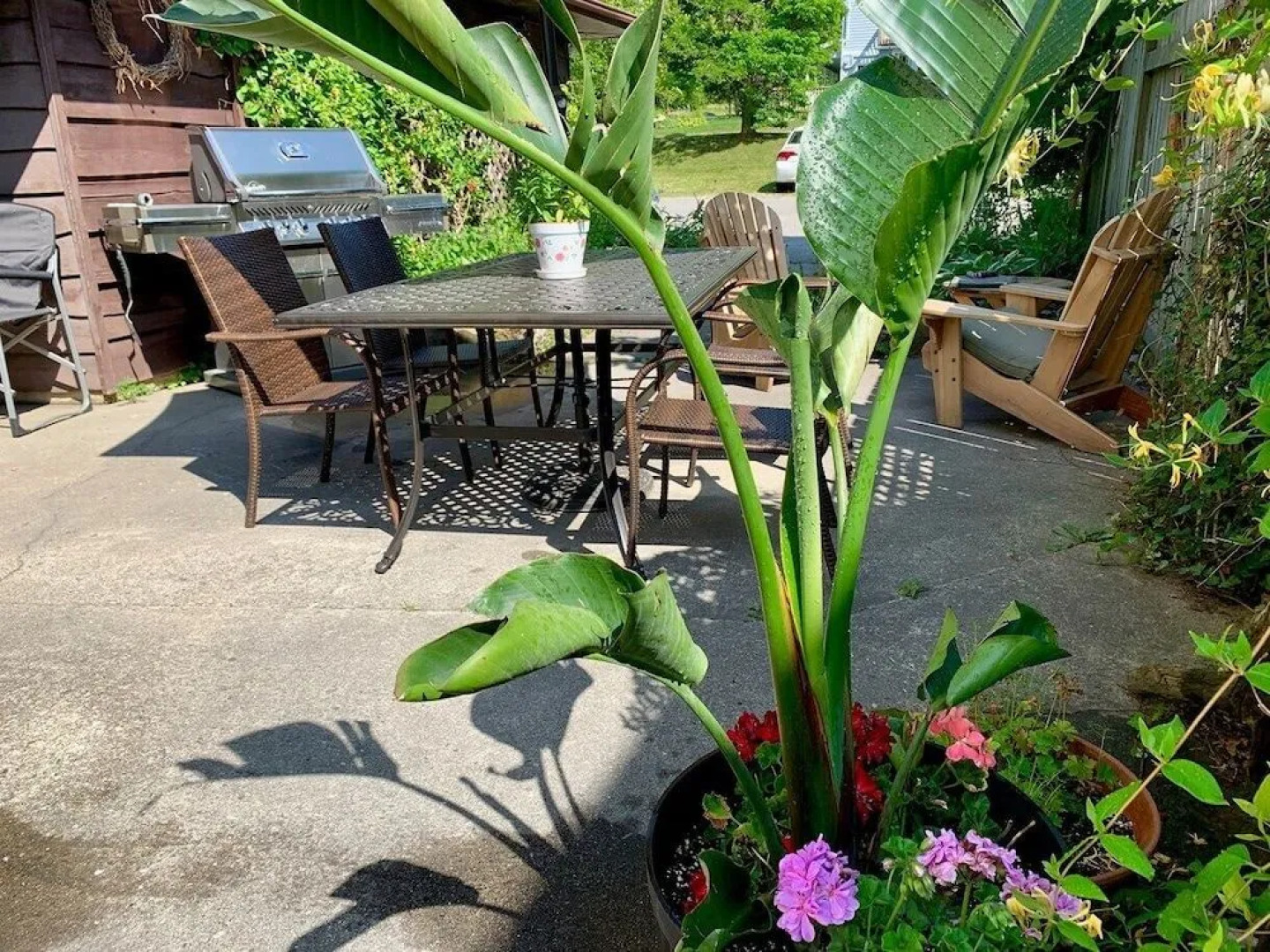 Paradise Inn On The Beach