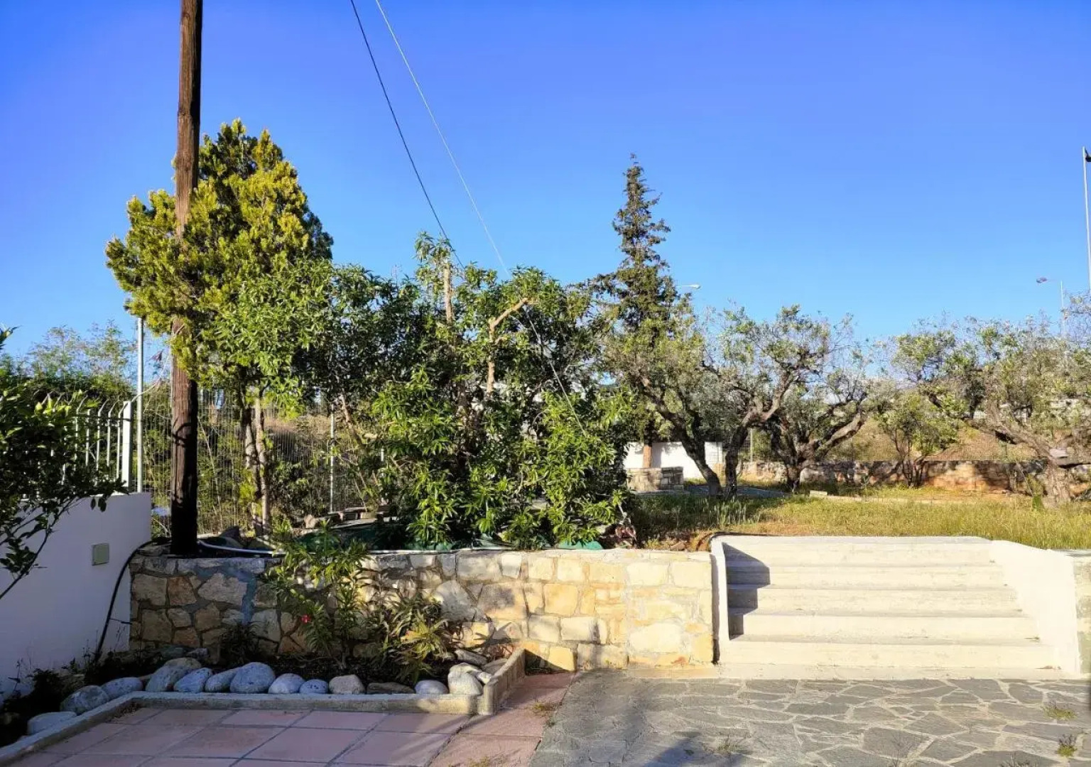 Tarmaros - Families & Groups