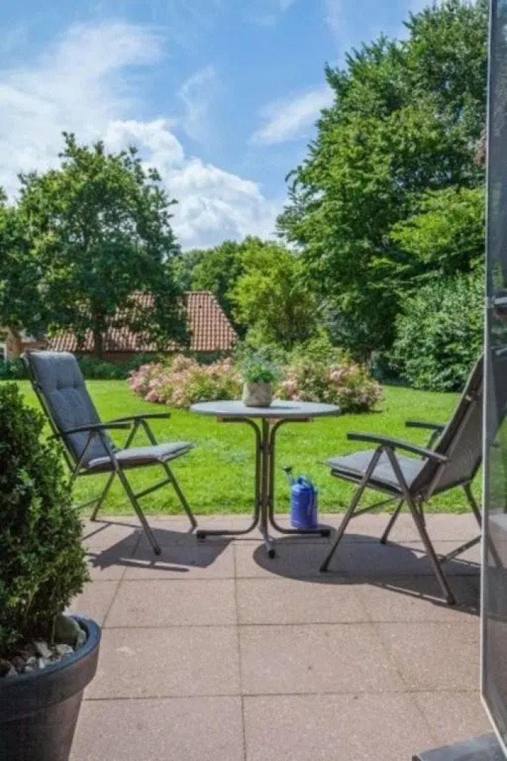 Austernfischer - a27555