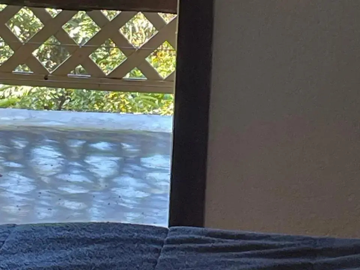 Pousada Rota dos Macacos