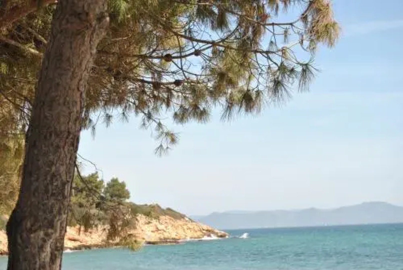 Affittacamere La Jacaranda