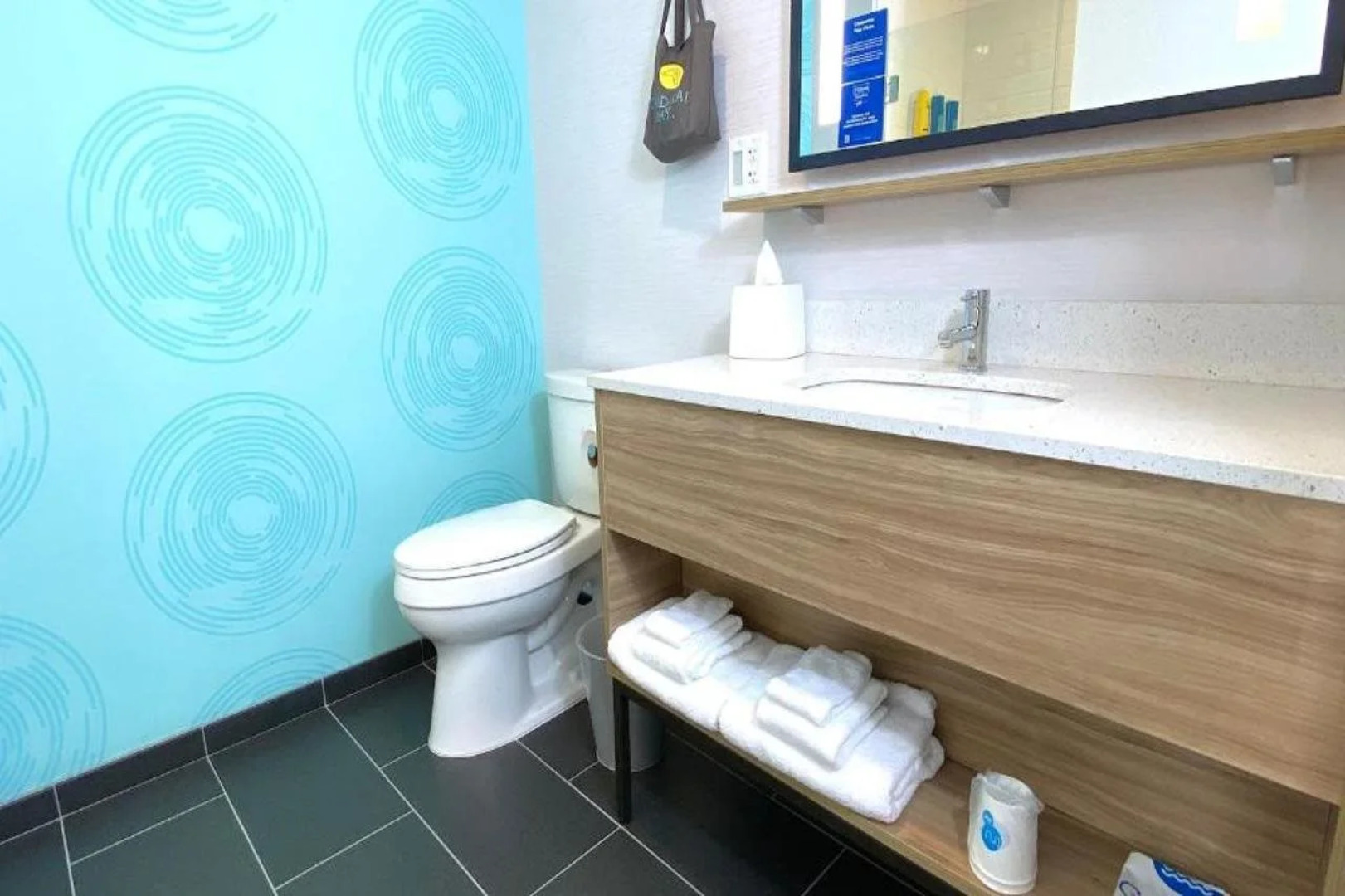 Tru by Hilton Manassas