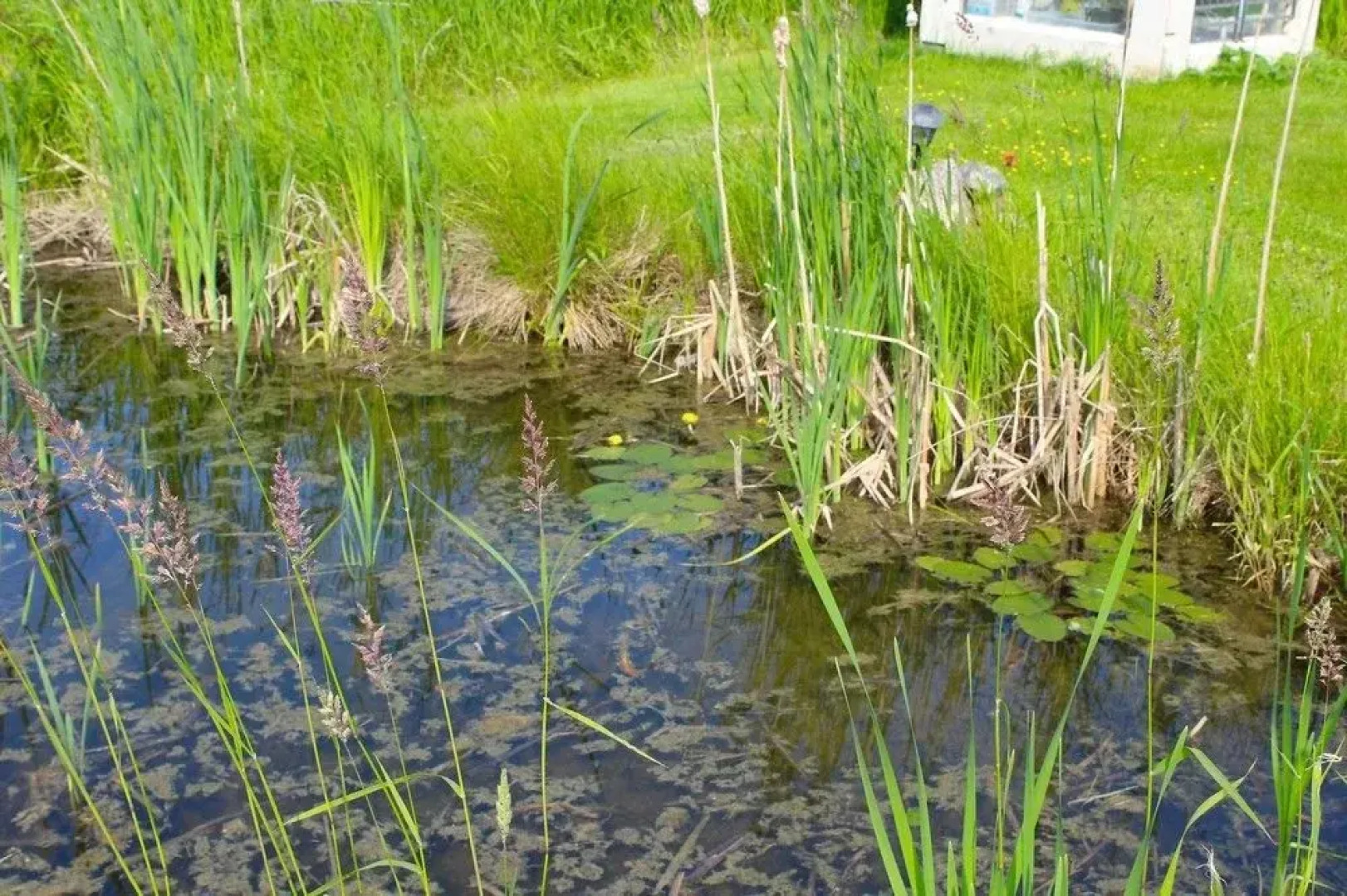 Gîte du Centre Mieux-Être