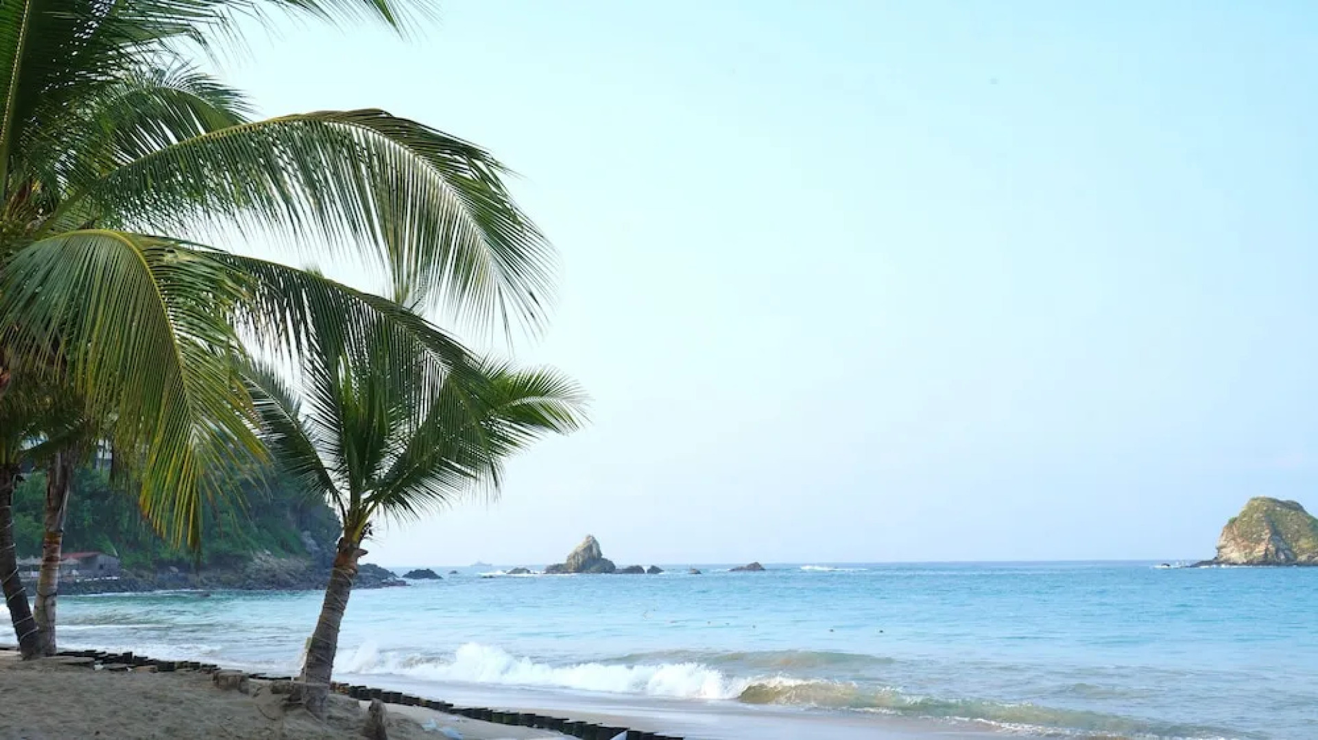 Departamento Real de Palmas