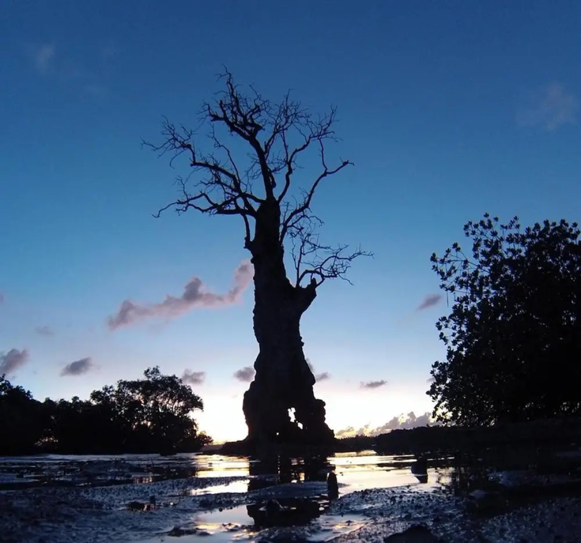 Sunset Bay Beach Villas
