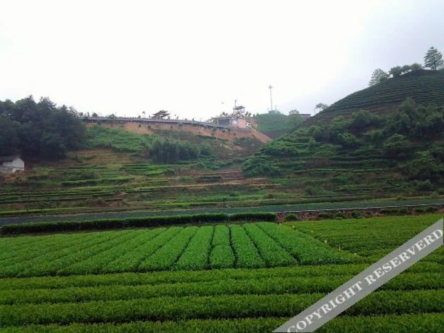 Tangmuyuan Hot Spring Hotel