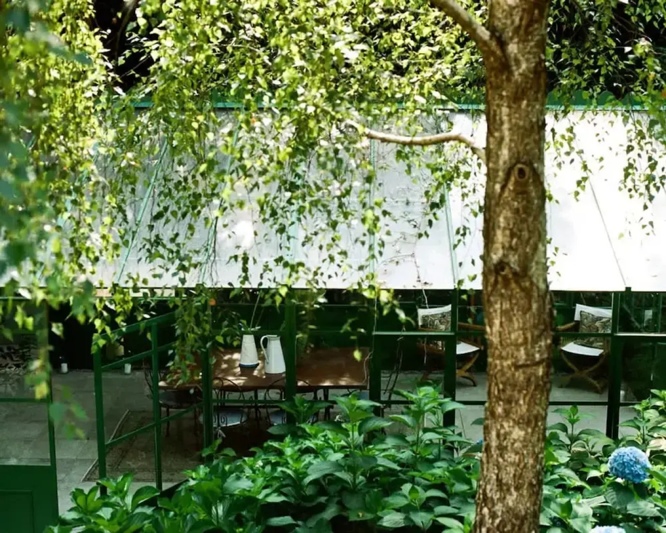 Charming 1BR Suite in Revislate