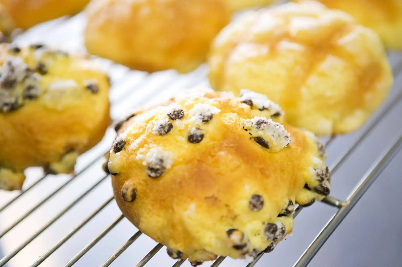 Northern Arc Resort Hotel