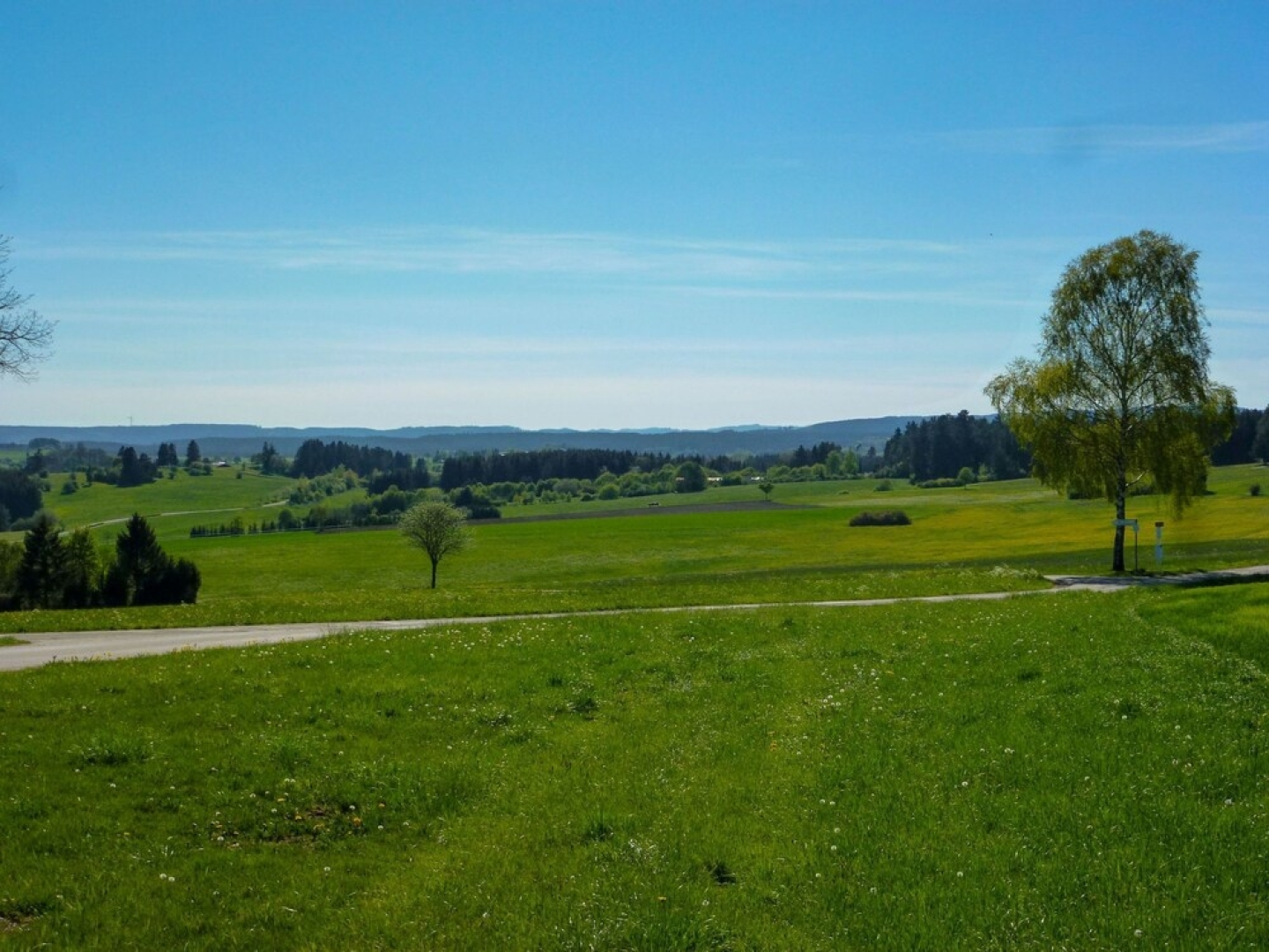 B 94 L Ffingen in L Ffingen