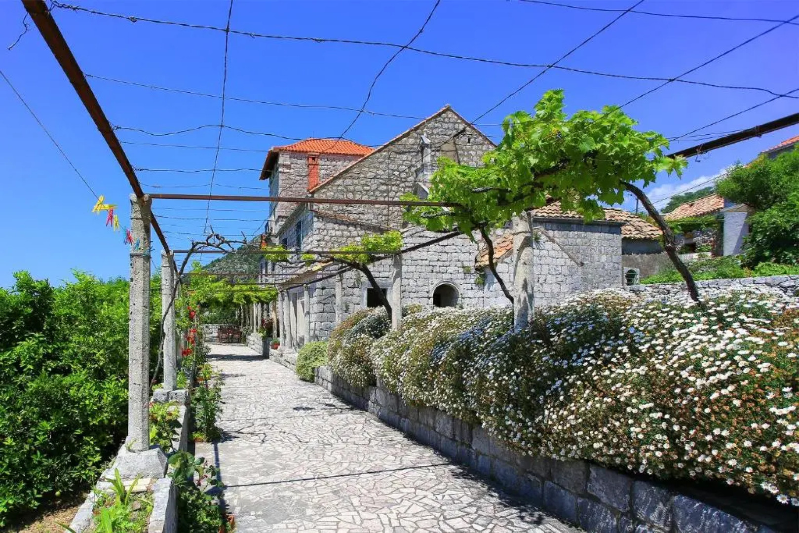 Apartment & Rooms Savonari