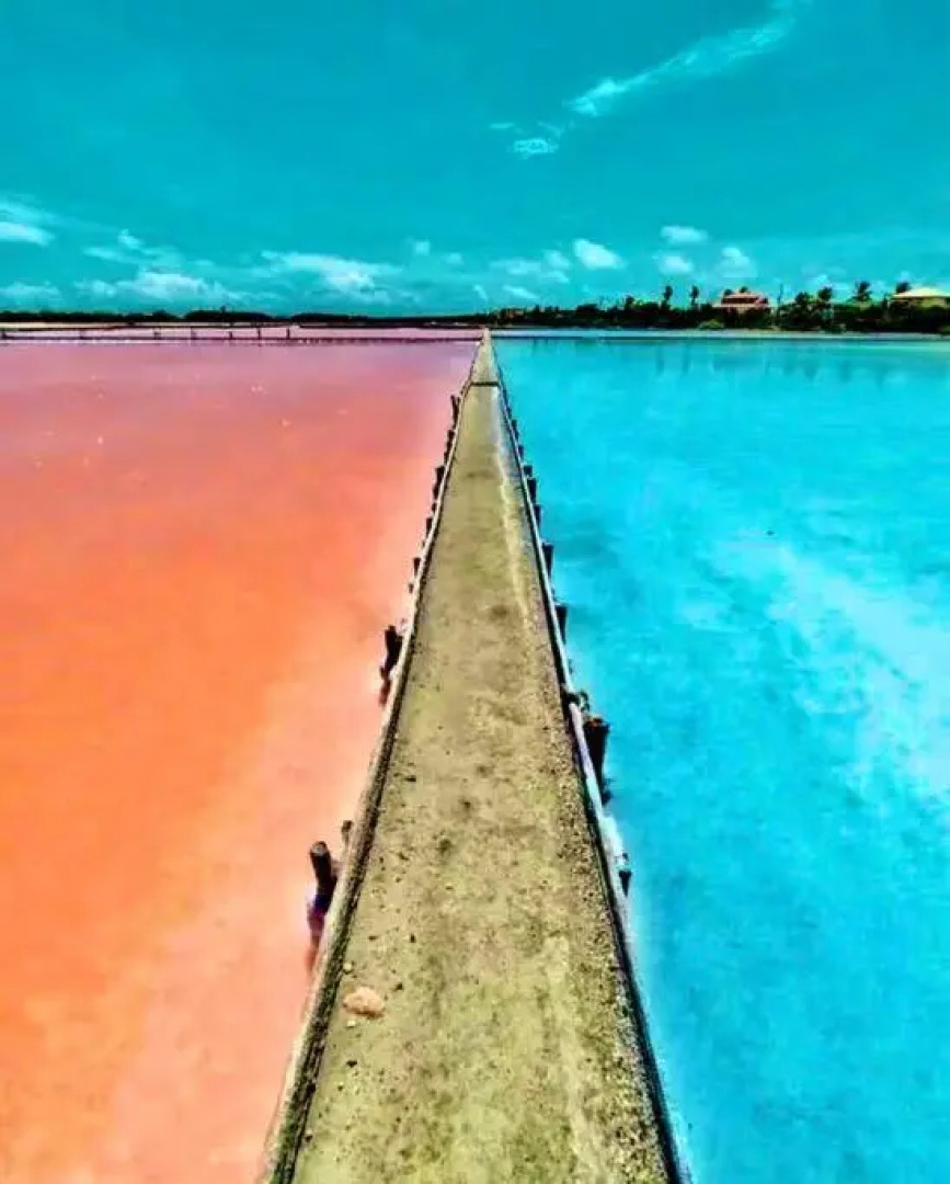 2-BR Modern Oceanfront Apt Steps from Playa Sucia