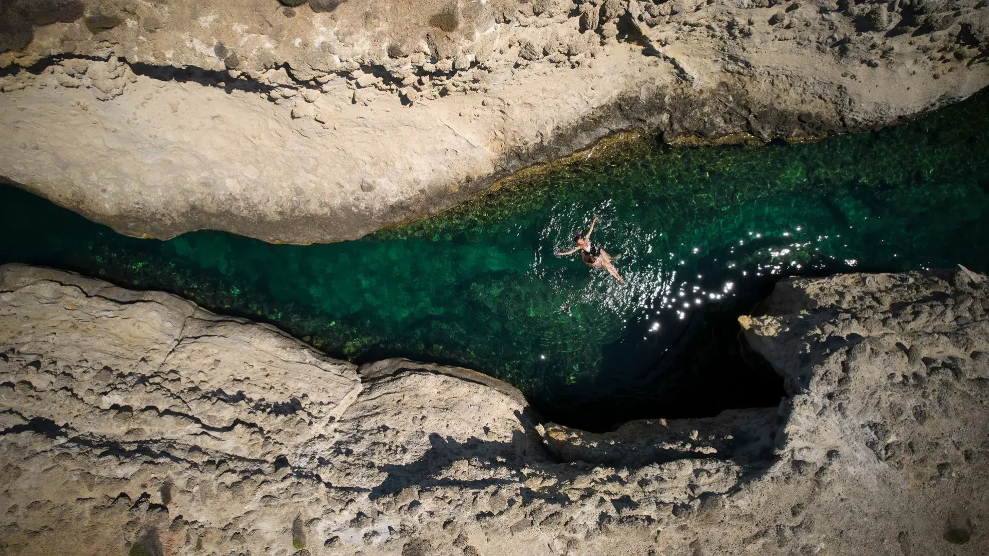 White Coast Pool Suites