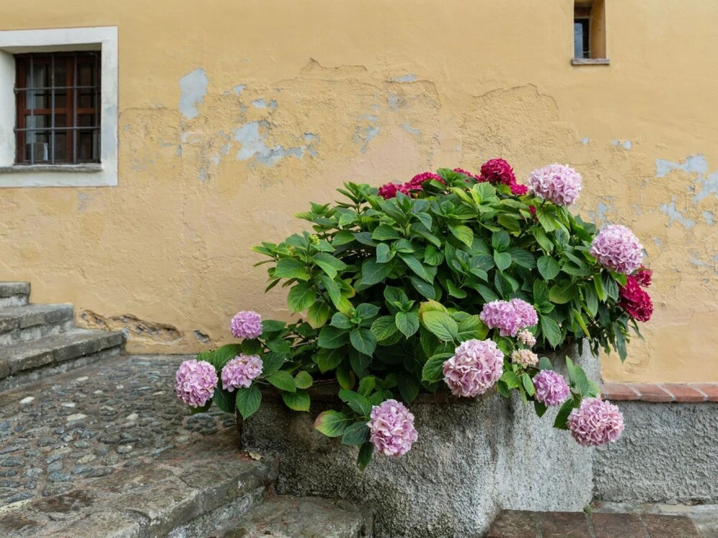 Mansion in Ovada With Pool and Scenic Hills