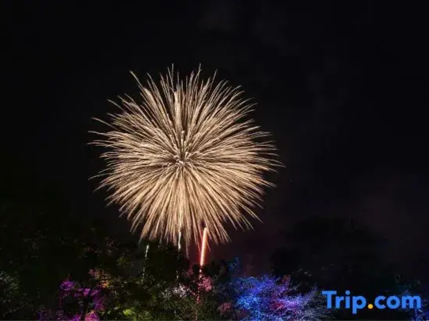 Longyan Liancheng Tianyi Hotsprings Resort