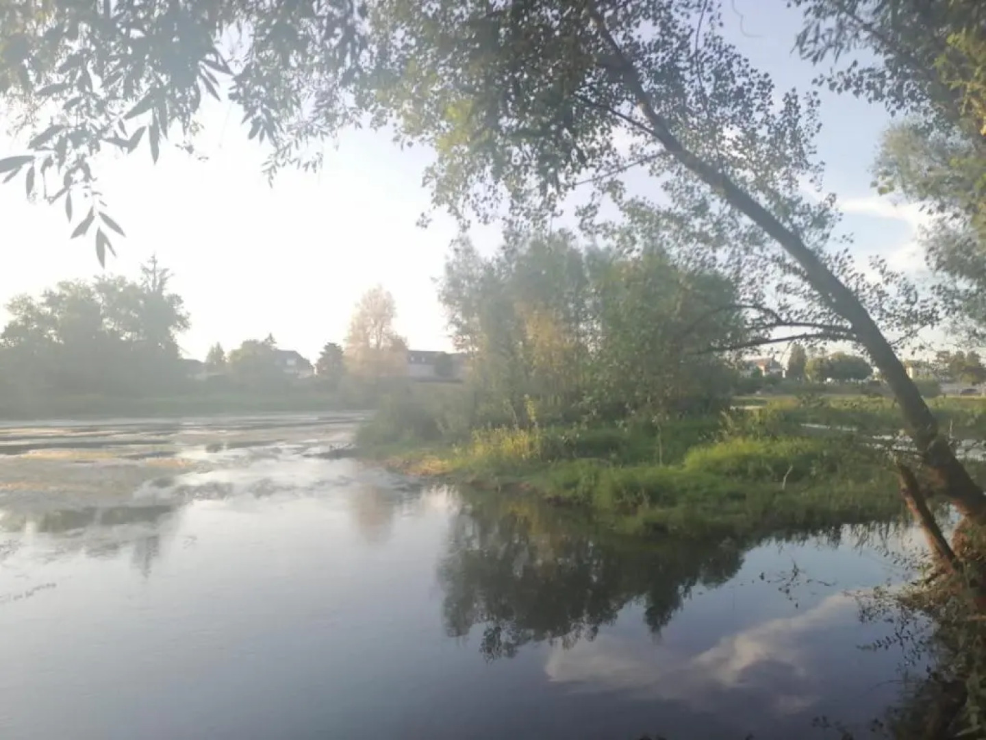 Gîte cosy la Mosaïque, à Selles-sur-Cher, 15 mn du zoo Beauval