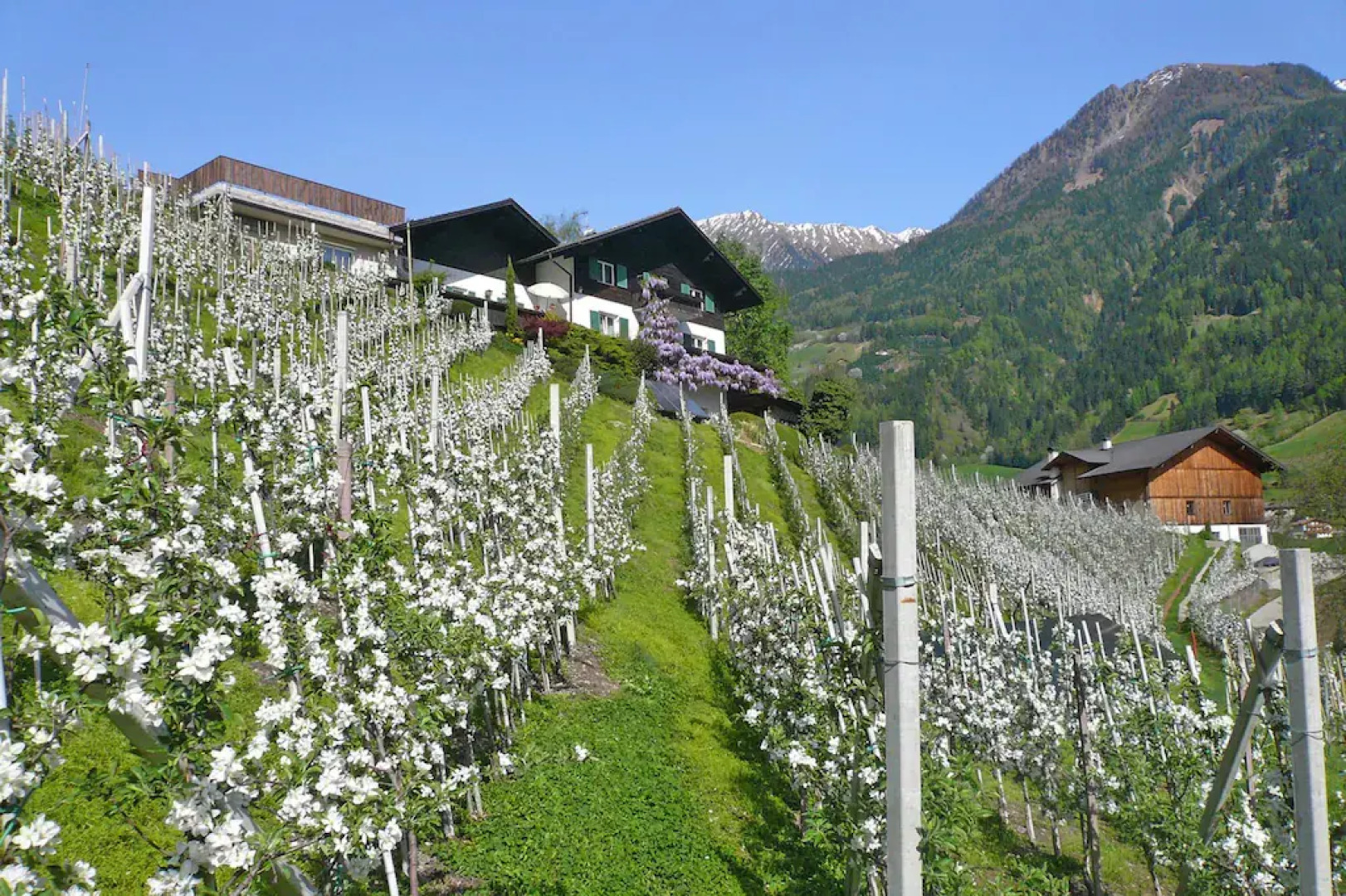 Cosy apartment in the middle of the largest wildlife park in South Tyrol