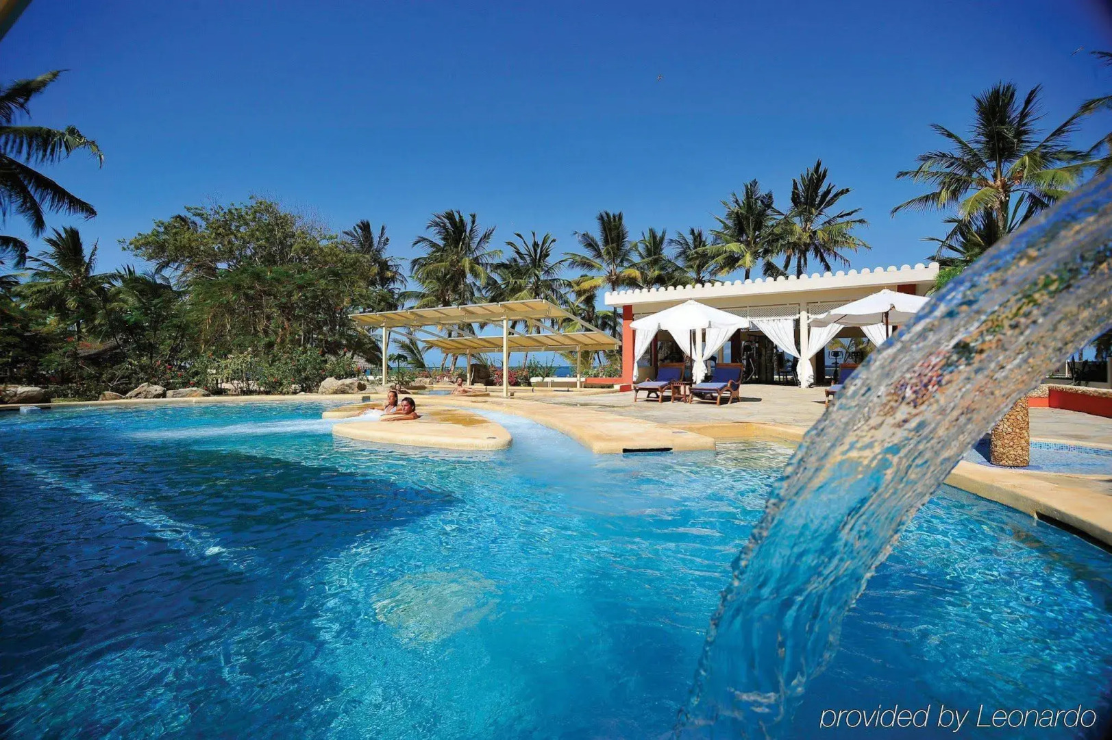 Diamonds Dream of Africa