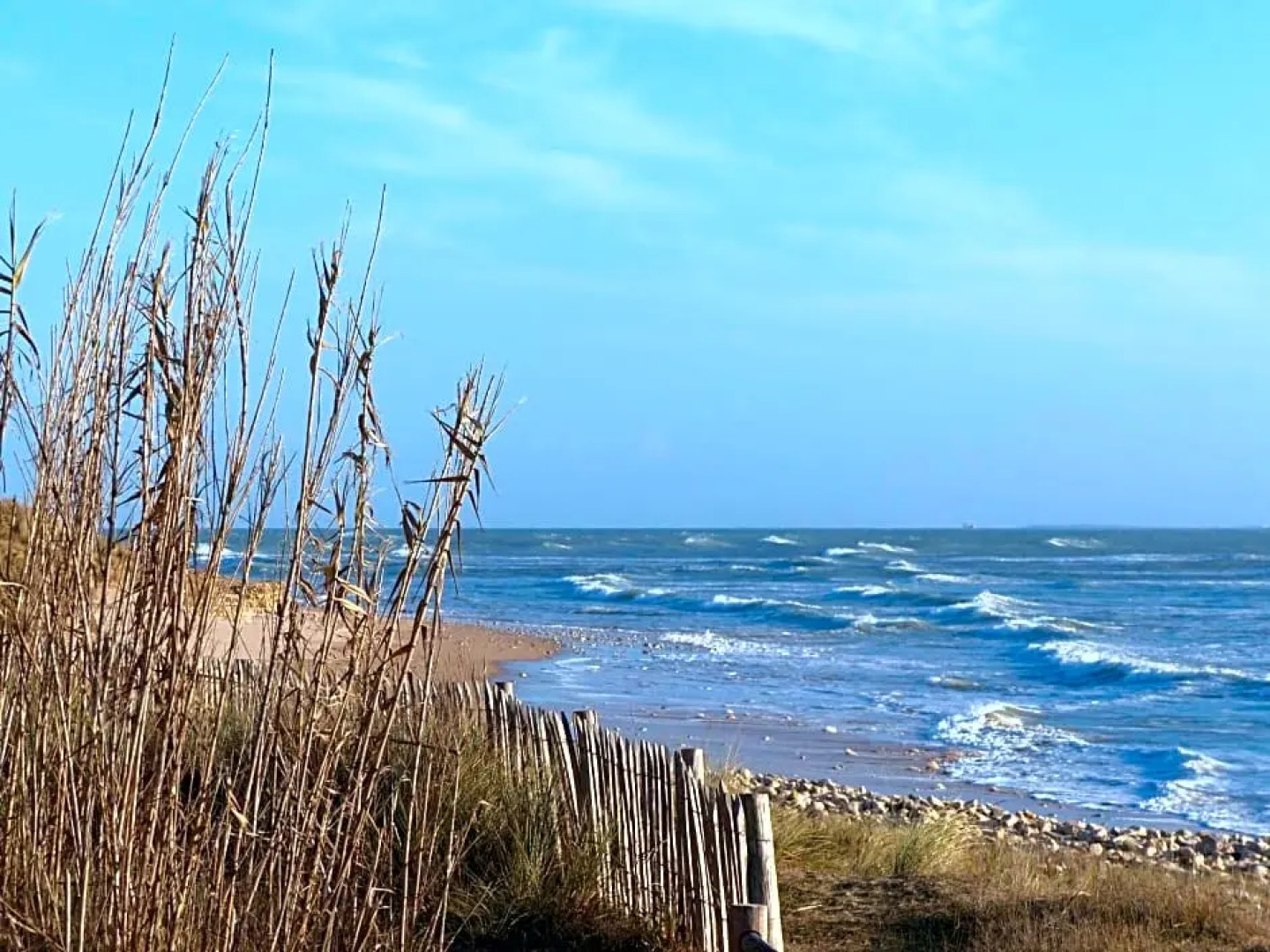 Maison d’hôtes Les Ajoncs