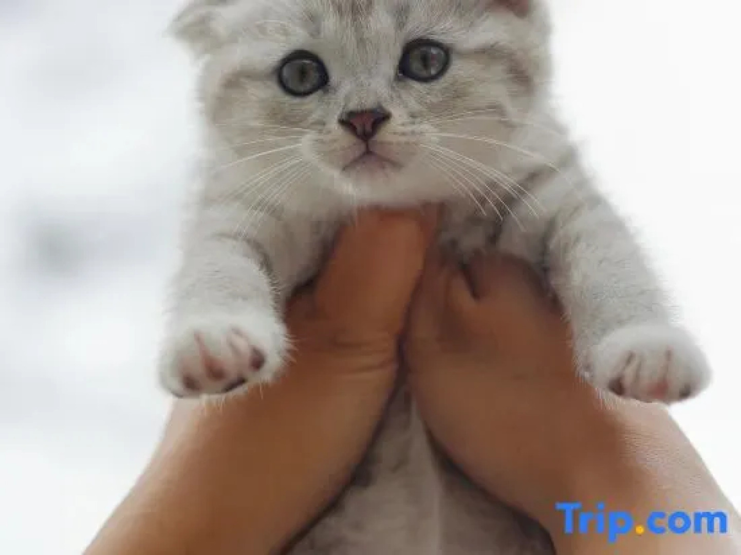 Yunshui Yishe Hostel