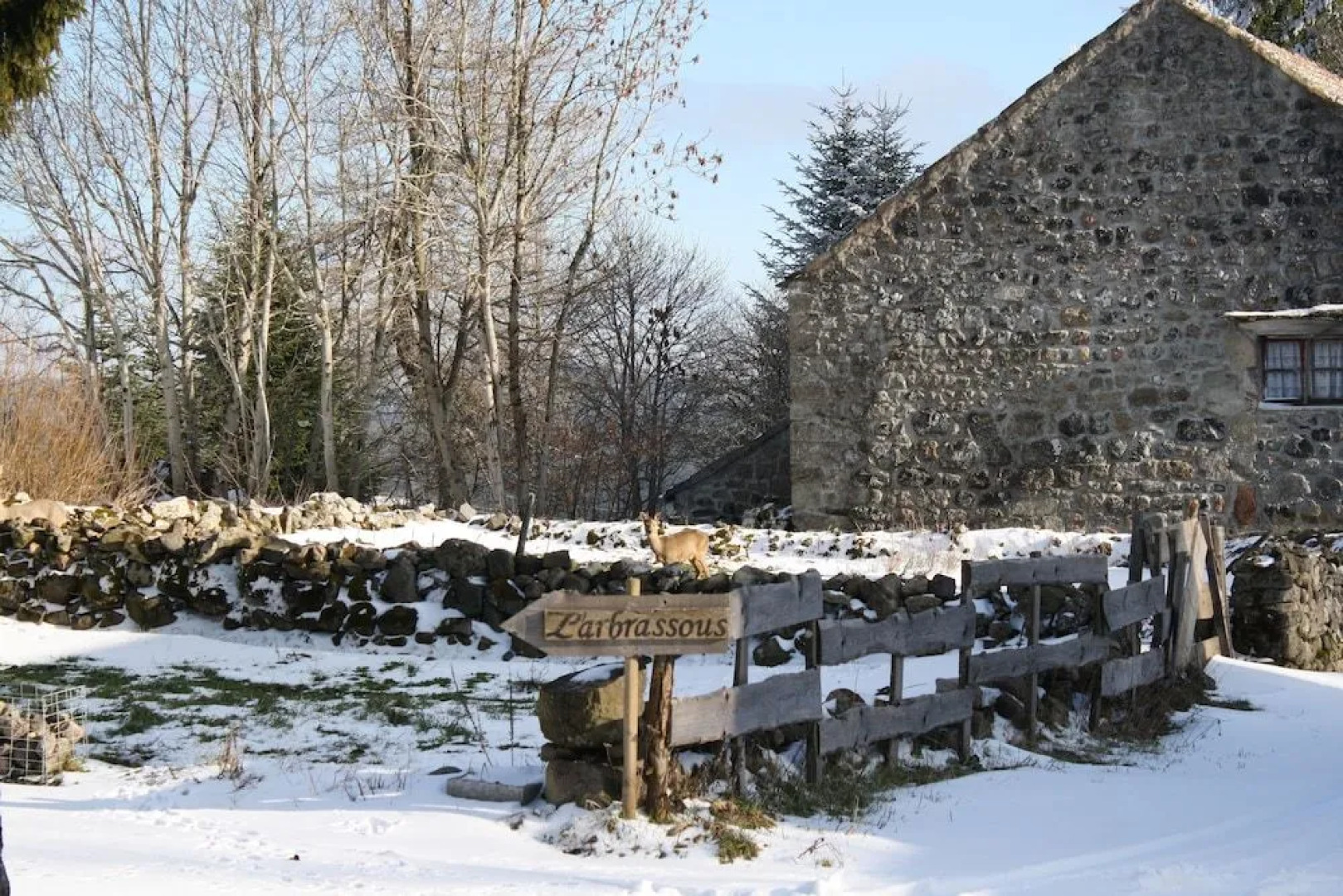 L'Arbrassous