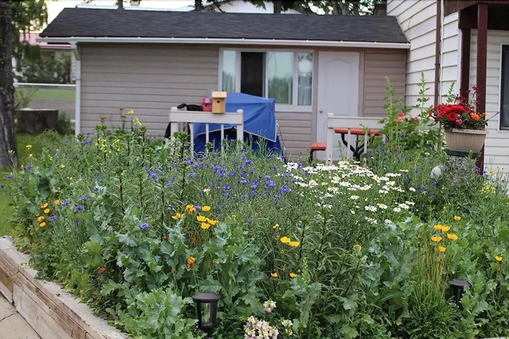 Golden West Motor Inn