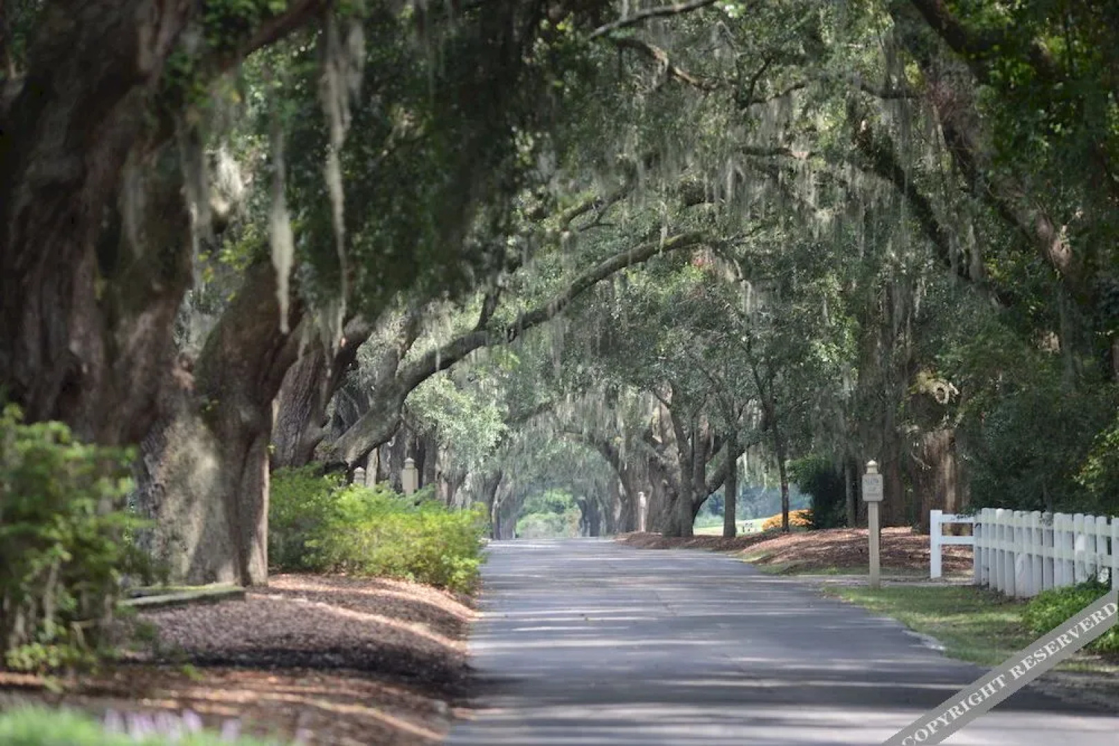 True Blue Golf Resort