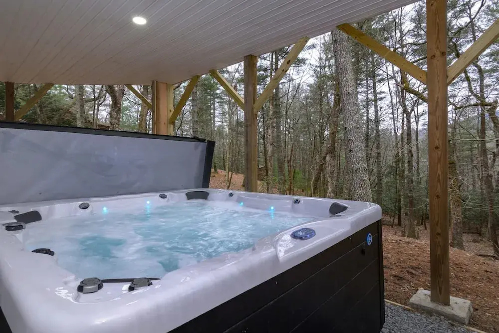 Boone Getaway Dog Friendly Hot Tub Fire Pit