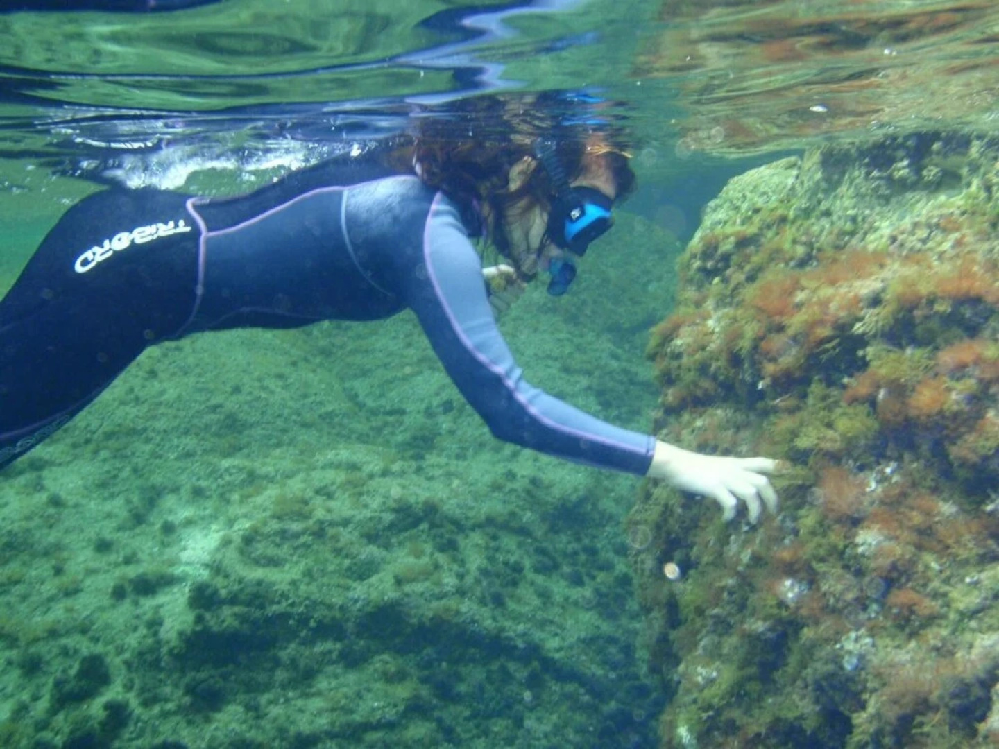 Alberg Costa Brava - Hostel