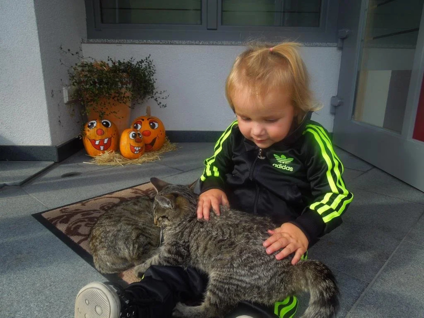 Albeinelerhof - Kinderbauernhof