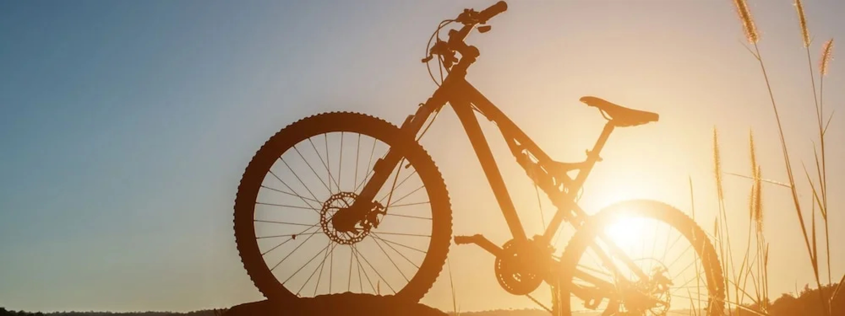 Ringhotel Niedersachsen