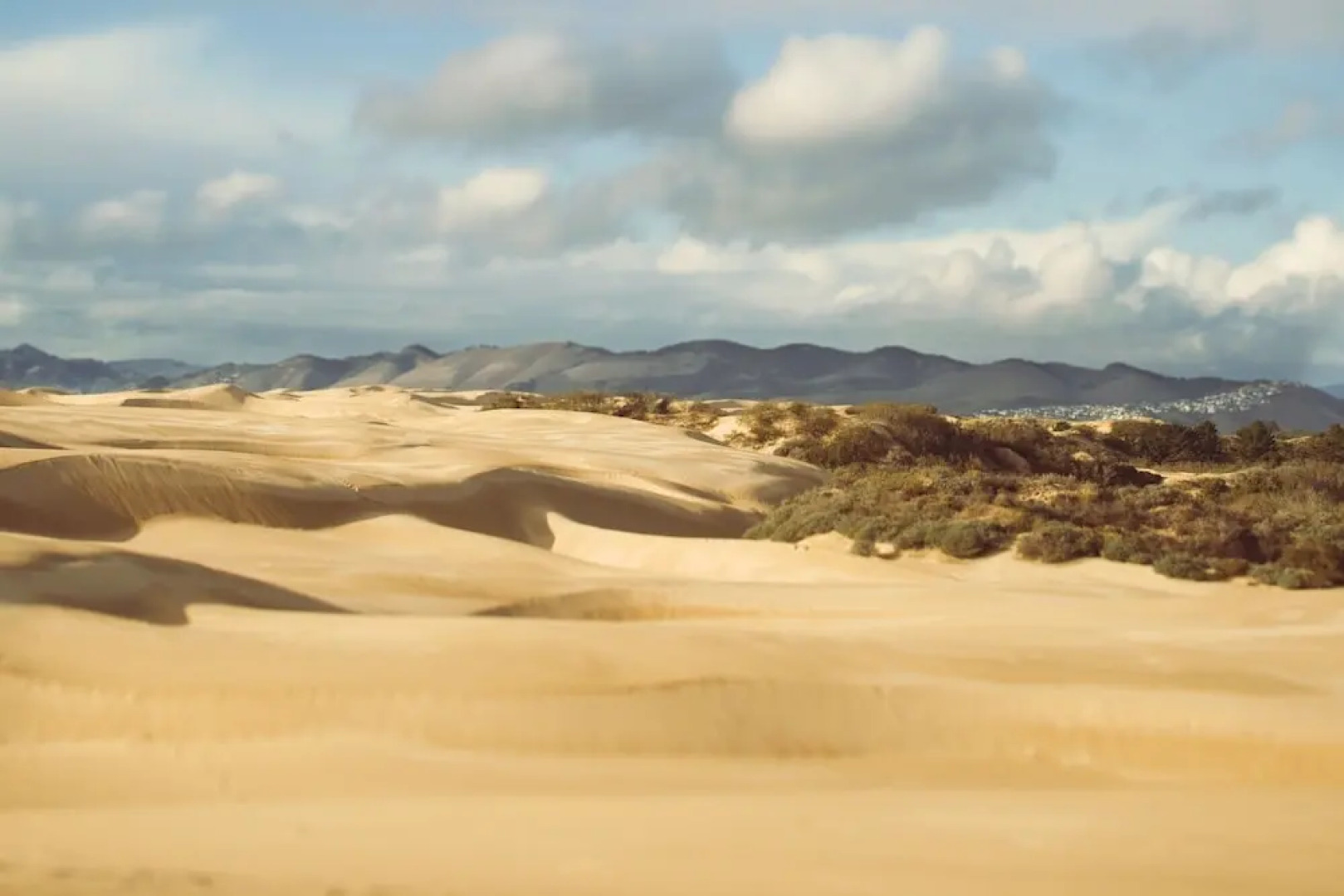 New Listing! Oceano Getaway - Walk to Beach! home