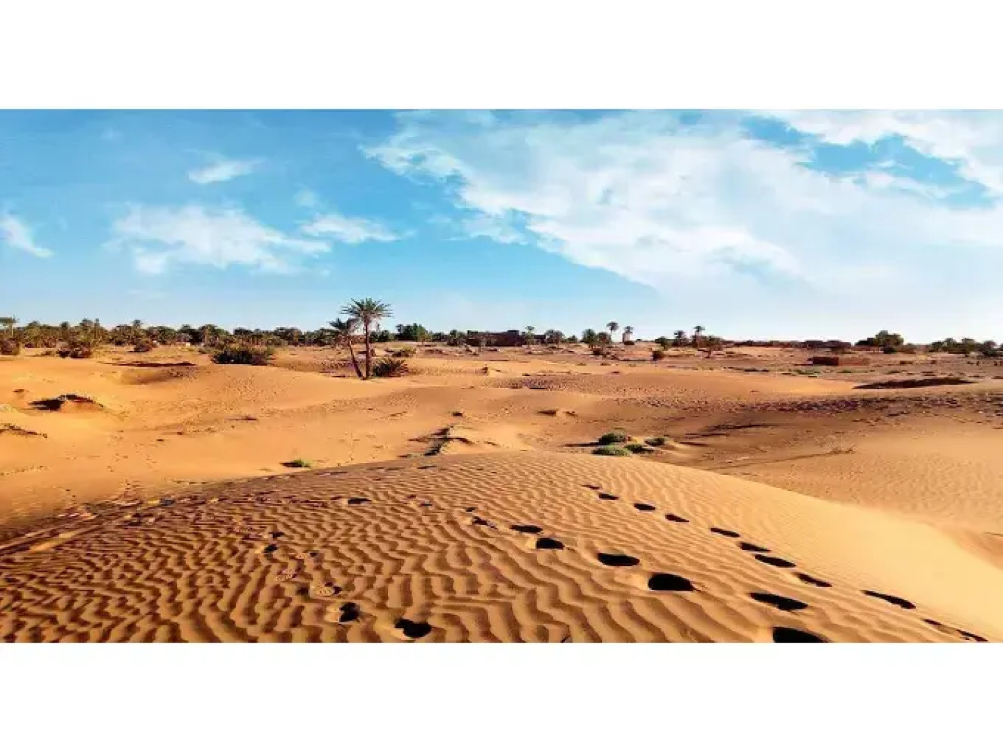 Locals Under Stars Trips