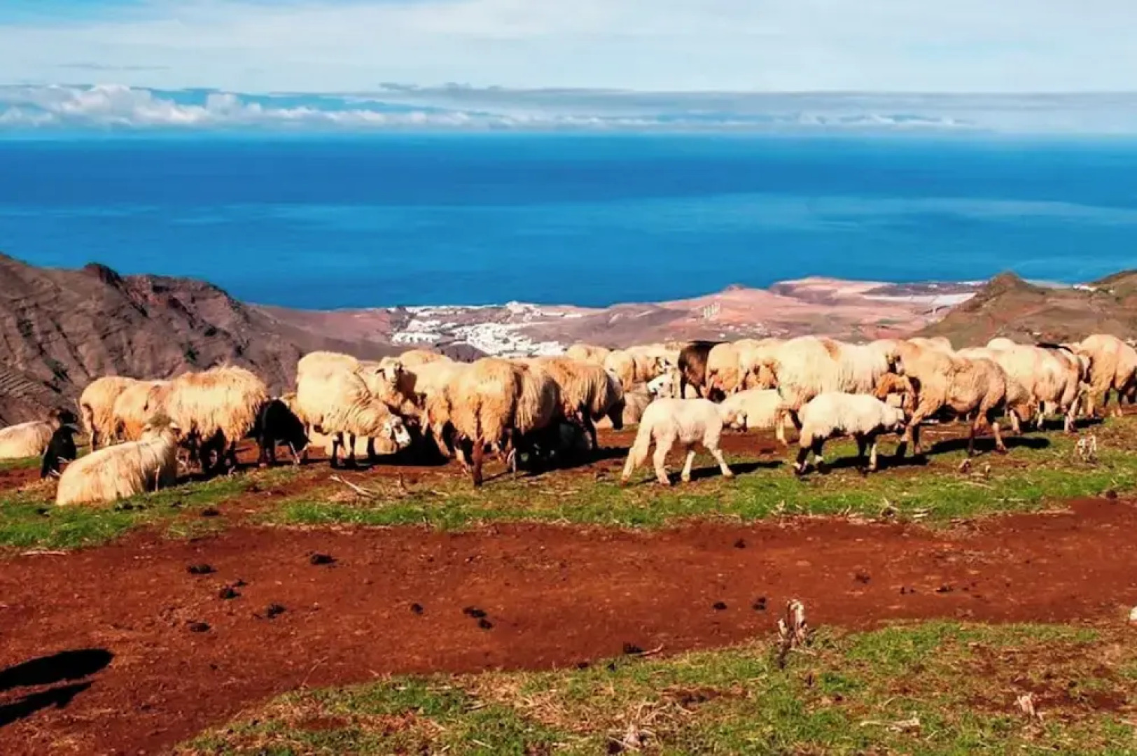 Seaside Bliss Villa in Fagajesto