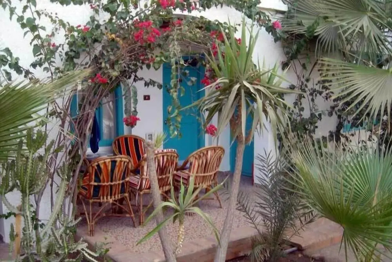Hotel Planet Oasis