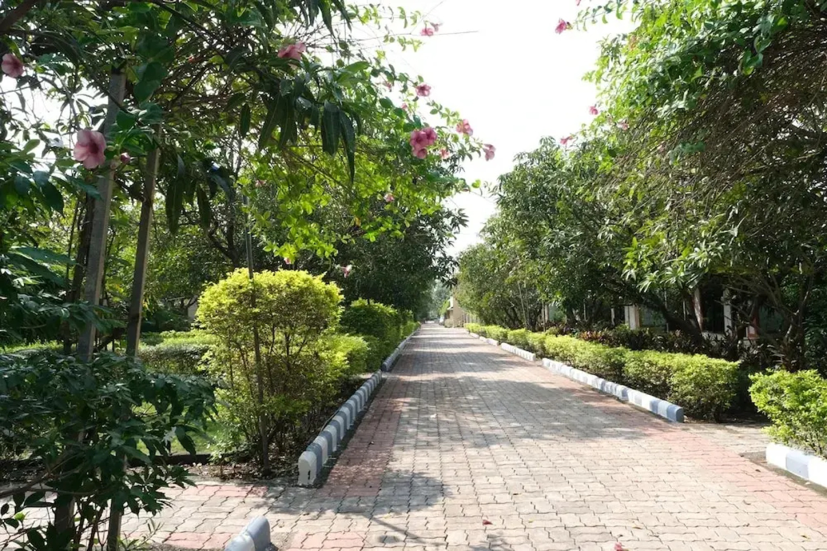 Sukh Sagar Gir Resort