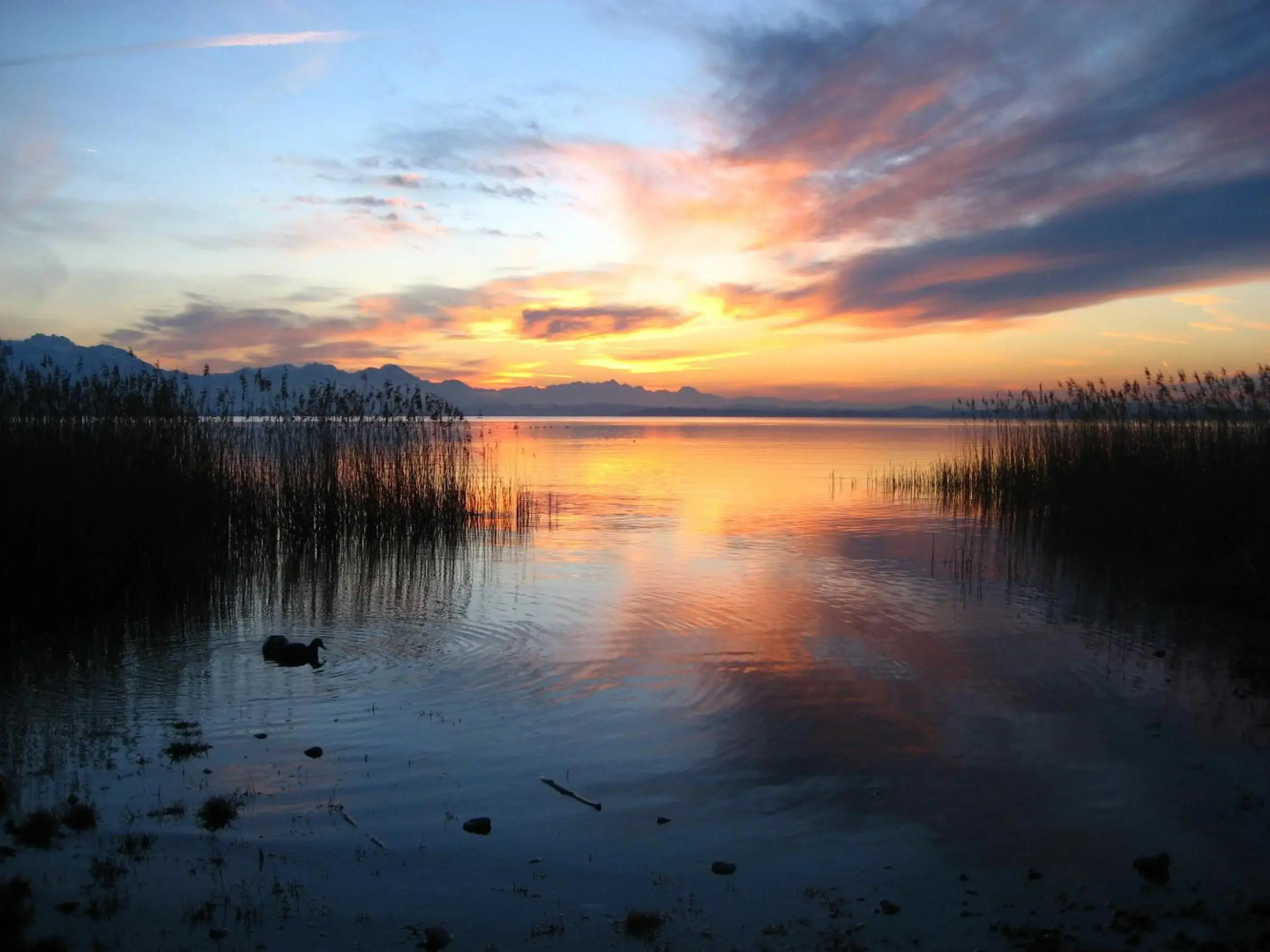 Beim Paulfischer - Eckbankerl