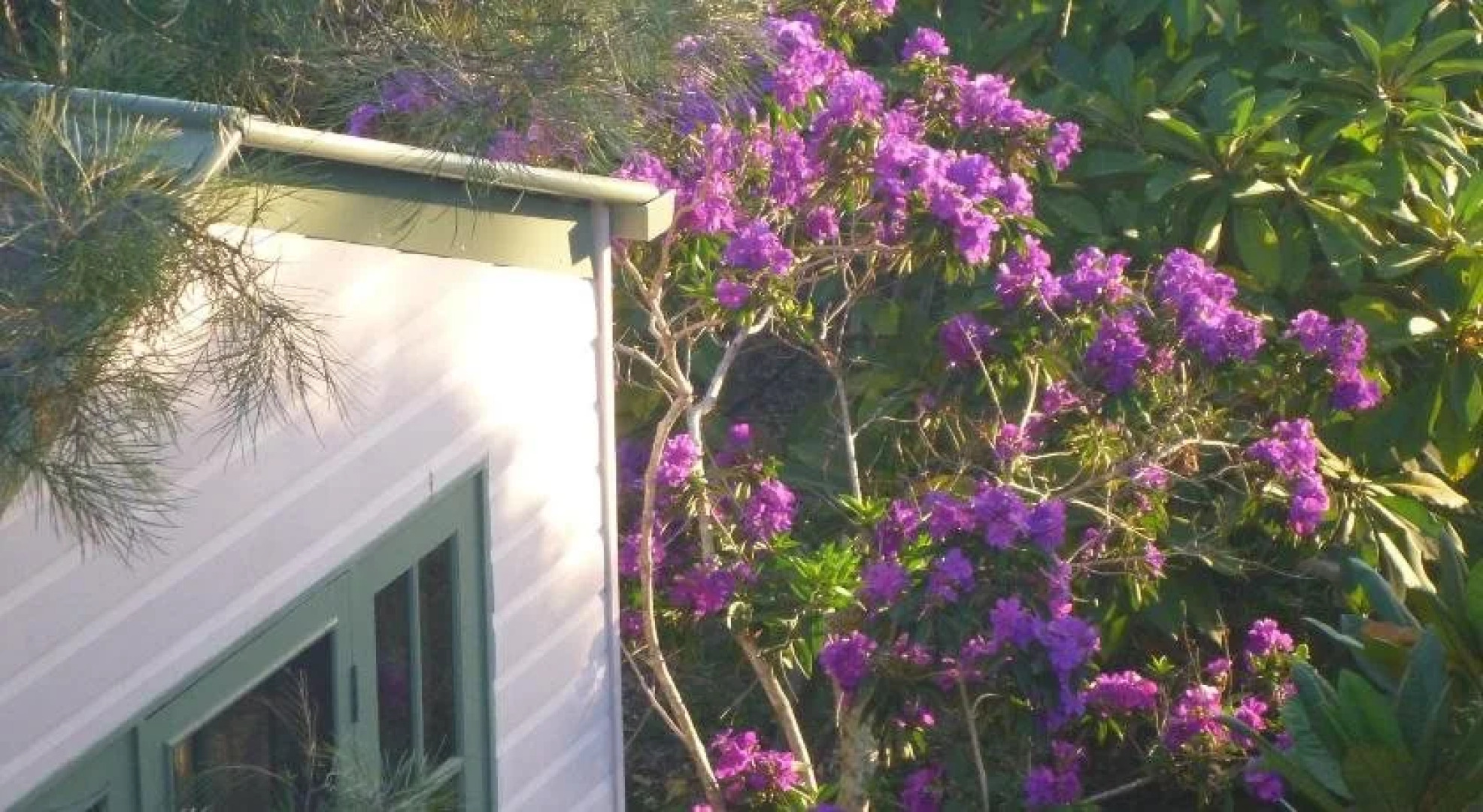 The Friendly Chat Bed and Breakfast