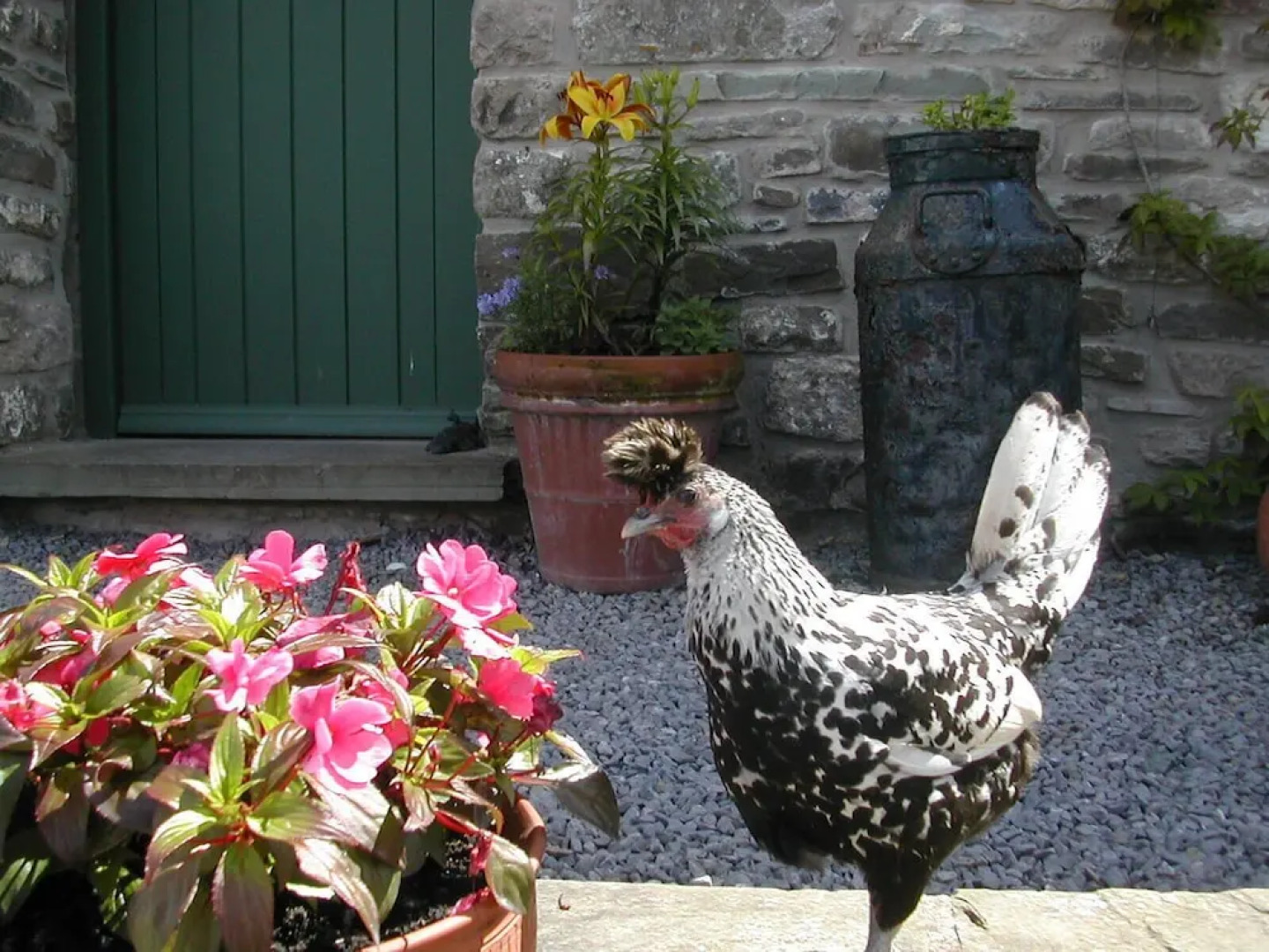 Alltybrain Farm Cottages and B&B