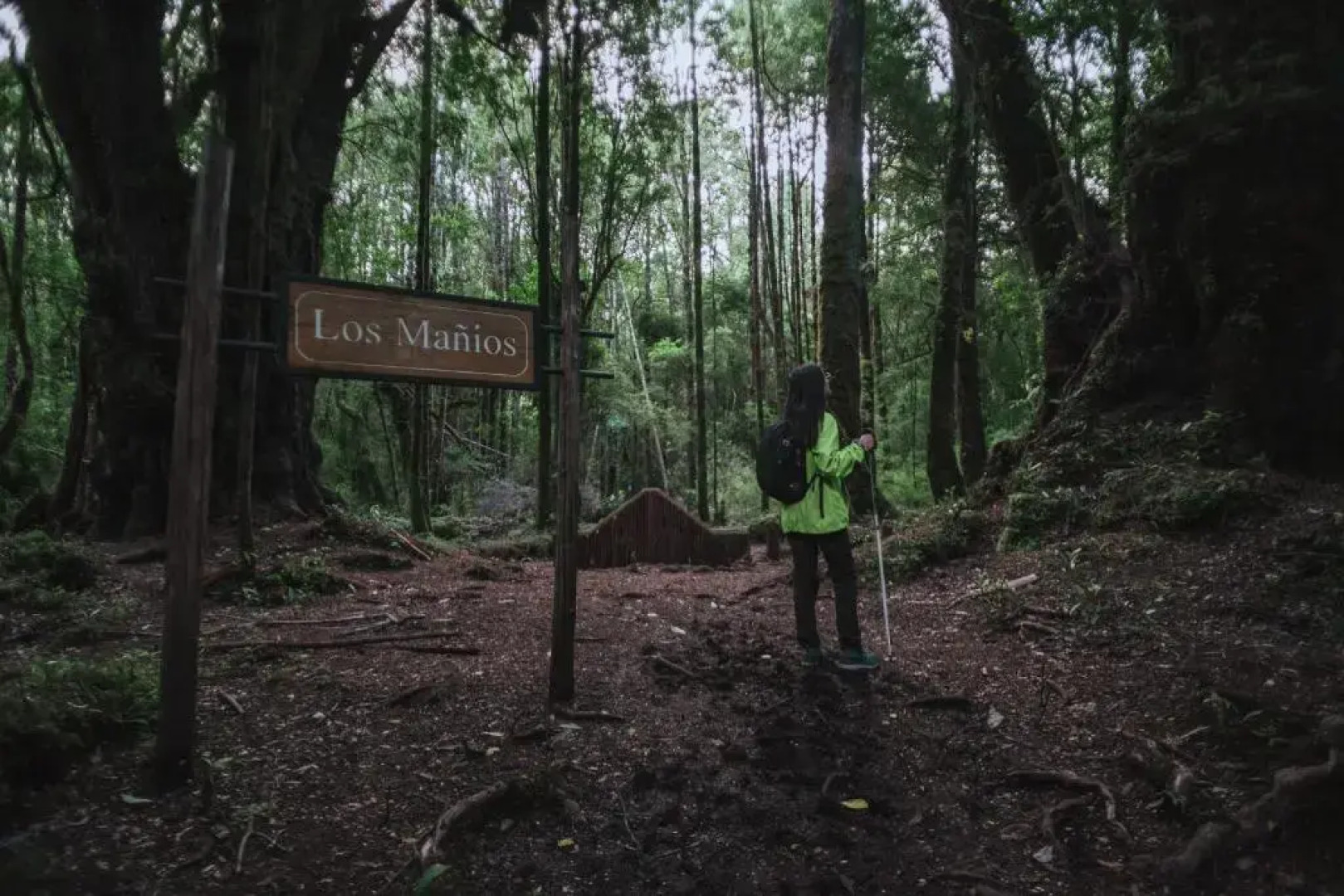 Lodge Parque Tepuhueico