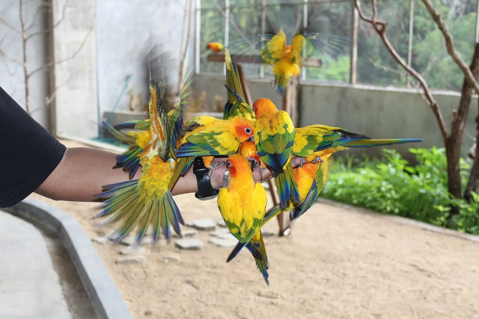 Everia Villas Resort