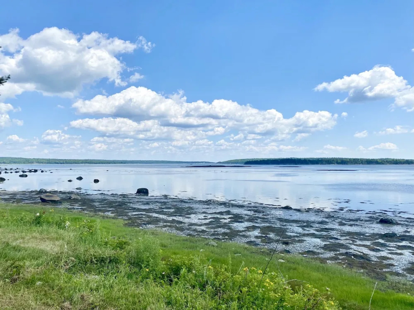 Island View Hotel Bar Harbor