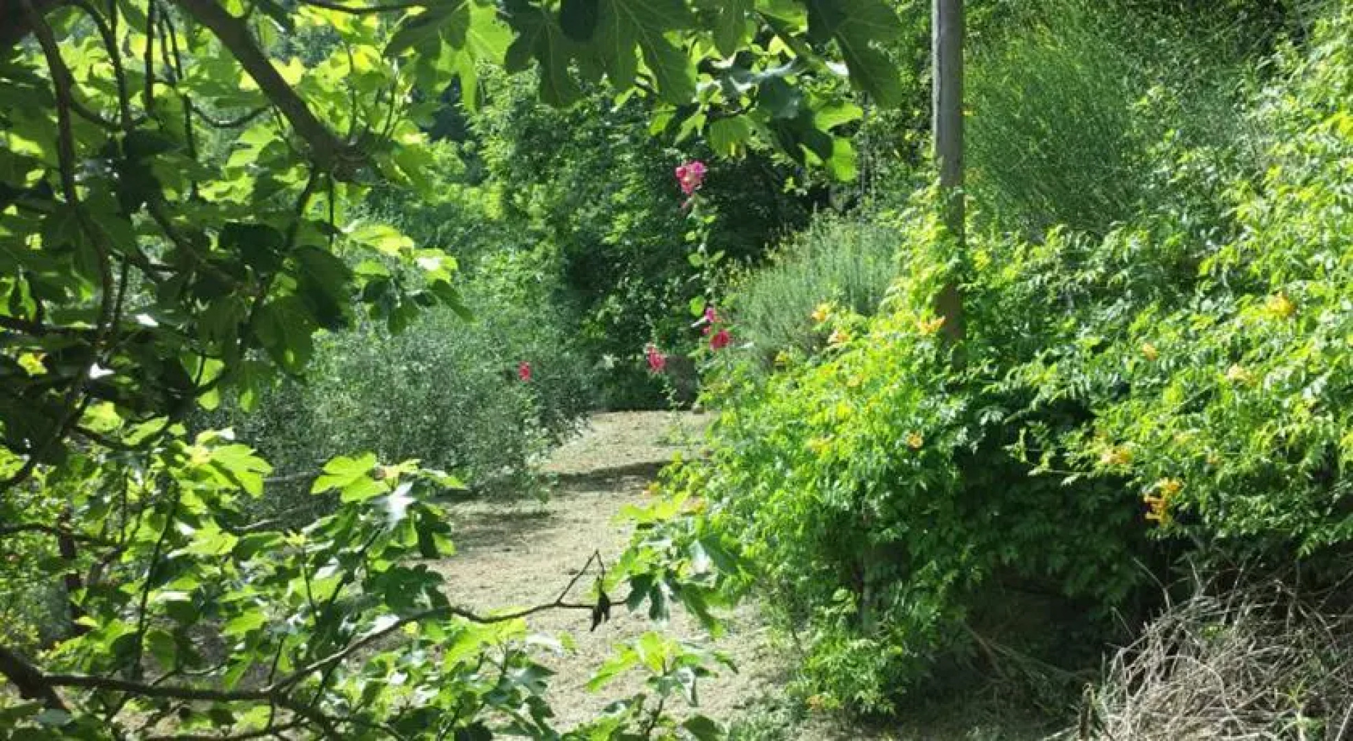 Chalet Antico Mulino