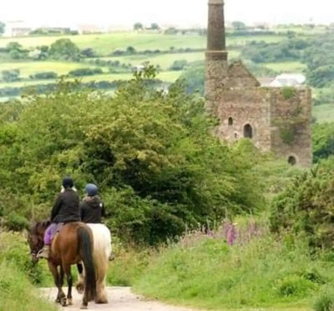 Lovely 3-bed Annex Located on a Working Farm