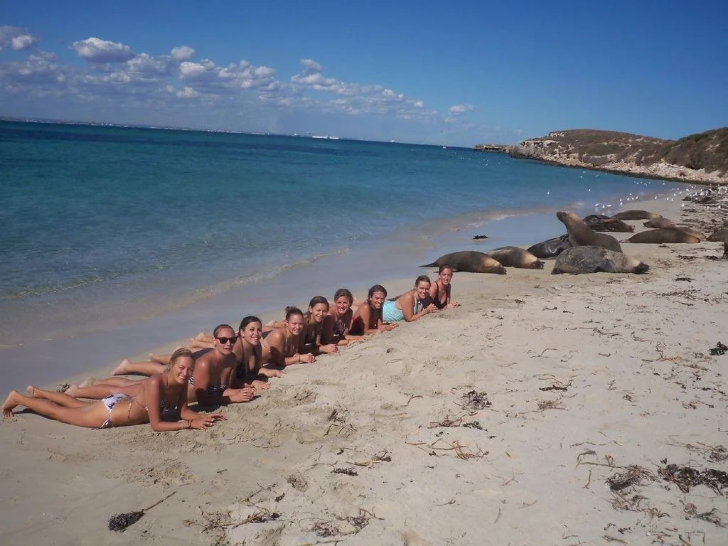 Pirates Backpackers - Hostel